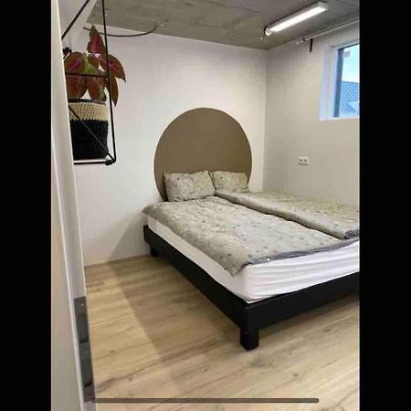 Modern Garage Suite - Free Parking & Self Check In Hveragerdi Exterior photo